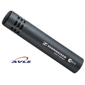 http://www.avls.eu/45189-thickbox/micro-instrument-sennheiser-e614.jpg