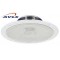 SPE158/WS Haut-parleur plafond