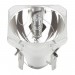 CONTEST Lampe MSD132/2R/PLATINUM 132 W
