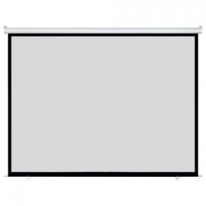http://www.avls.eu/49124-thickbox/proscreen-electric.jpg