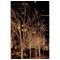 LED Rubber String Light WW Guirlande lumineuse 200 Leds