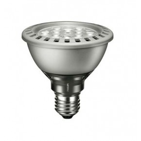 http://www.avls.eu/57203-thickbox/lampe-par-30-led-11-w.jpg