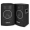 SL6 Enceinte passive 250 W