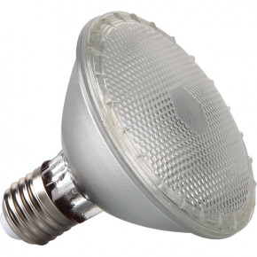 http://www.avls.eu/60315-thickbox/lampe-par-30-led.jpg